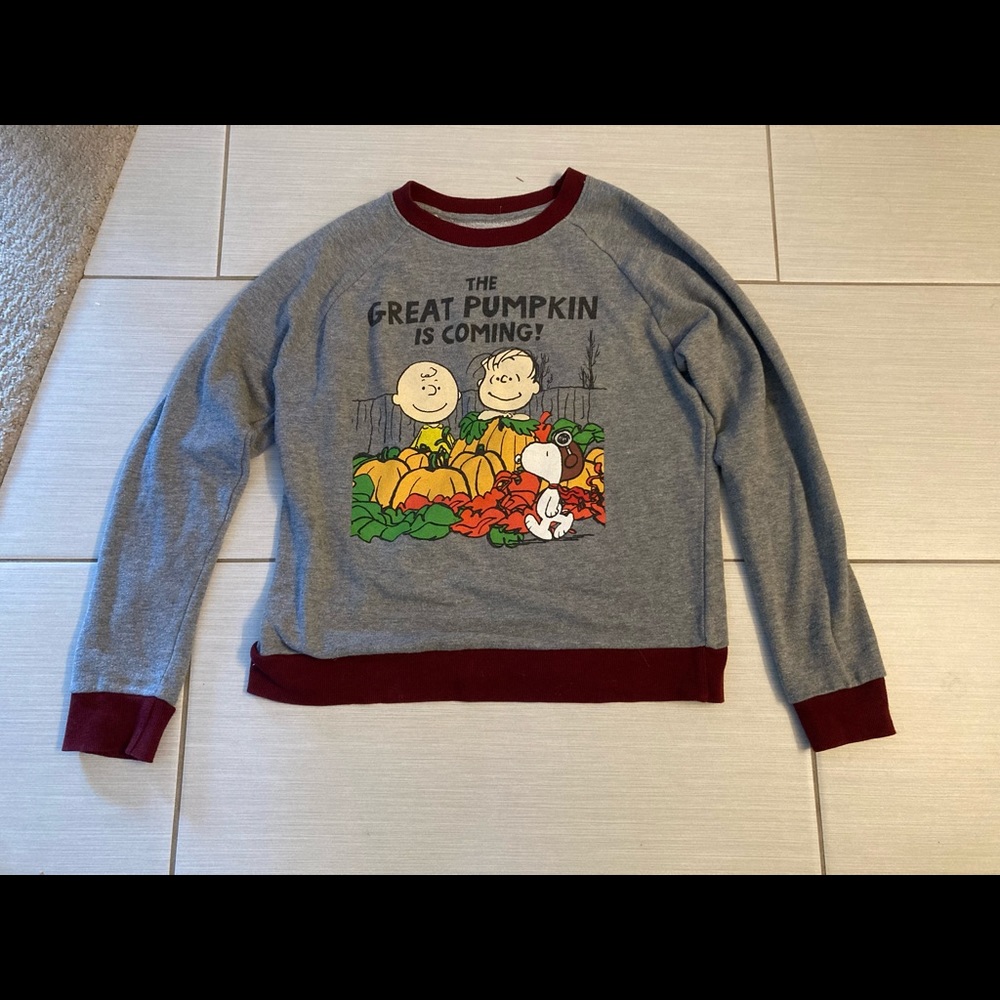 Adorable Halloween/Fall Charlie Brown Sweatshirt